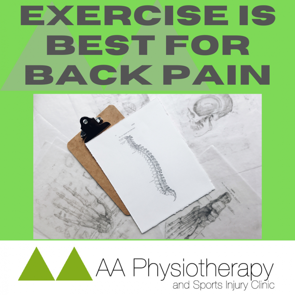 EXERCISE SHOWN TO BE BEST FOR BACK PAIN
